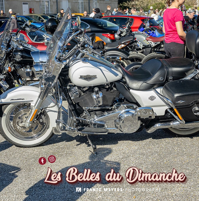 Les Belles du Dimanche