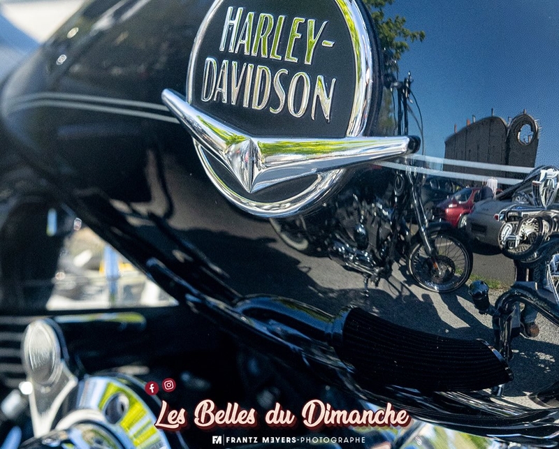 Les Belles du Dimanche